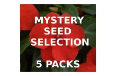 MYSTERY VALUE SELECTION OF 5 PACKS OF SEEDS